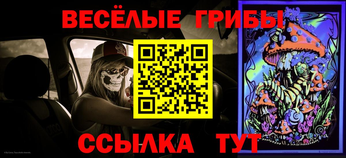 Галлюциногенные грибы Magic Shrooms Прохладный